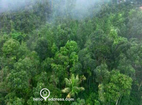 Commercial Land for Sale