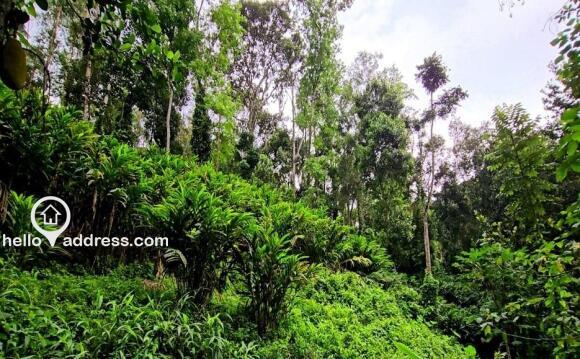 Commercial Land for Sale