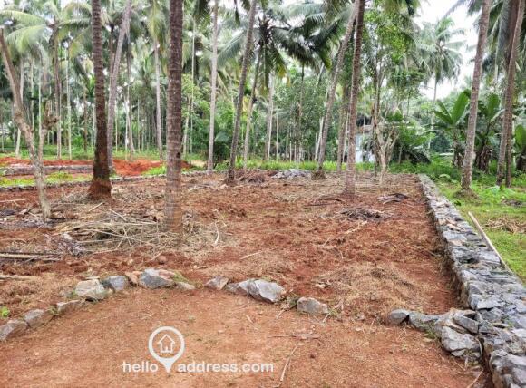 Best Residential plot