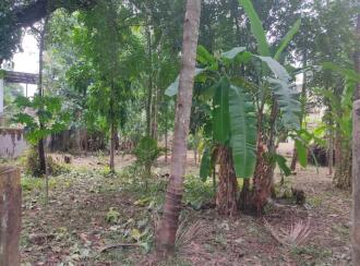 Residential Land for Sale in Kollam, Kollam, Kundara