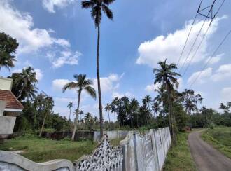 Residential Land for Sale in Ernakulam, Tripunithura, Udayamperoor