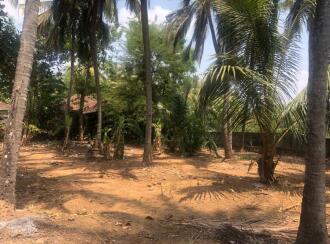 Residential Land for Sale in Palakkad, Chittur, Vallanghy, Edapotta