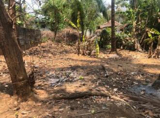 Residential Land for Sale in Palakkad, Chittur, Vallanghy, Edapotta