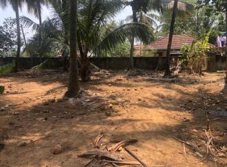 Residential Land for Sale in Palakkad, Chittur, Vallanghy, Edapotta