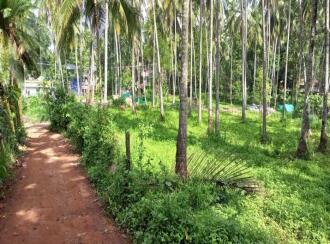 Residential Land for Sale in Kozhikode, Kakkodi, Kakkodi