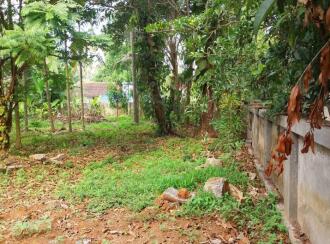 Residential Land for Sale in Thrissur, Irinjalakuda, Irinjalakuda, Chettiparambu