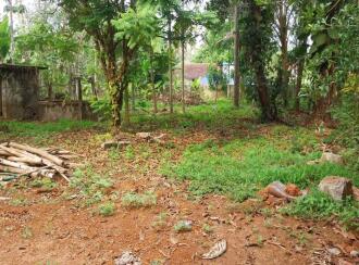 Residential Land for Sale in Thrissur, Irinjalakuda, Irinjalakuda, Chettiparambu