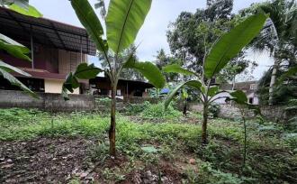 Residential House Villa for Sale in Pathanamthitta, Pandalam, Pandalam