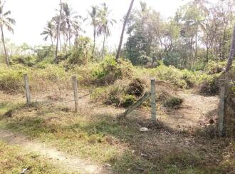Residential Land for Sale in Palakkad, Kollengode, Karippode, Paambooran Paara