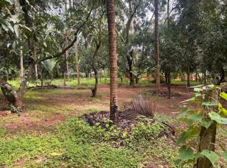 Residential Land for Sale in Thrissur, Wadakanchery, Peringandoor