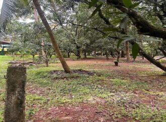 Residential Land for Sale in Thrissur, Wadakanchery, Peringandoor