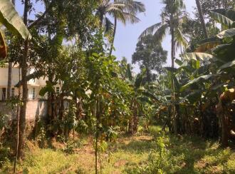 Residential Land for Sale in Trivandrum, Nedumangad, Karakulam, Parrorkada - Nedumangad (via Mullaseri) road