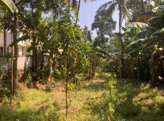 Residential Land for Sale in Trivandrum, Nedumangad, Karakulam, Parrorkada - Nedumangad (via Mullaseri) road