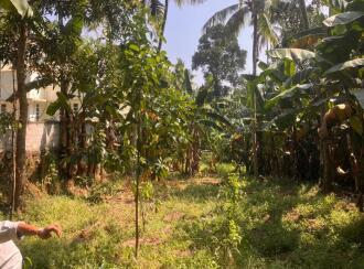 Residential Land for Sale in Trivandrum, Nedumangad, Karakulam, Parrorkada - Nedumangad (via Mullaseri) road