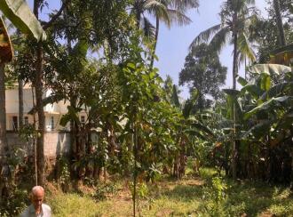 Residential Land for Sale in Trivandrum, Nedumangad, Karakulam, Parrorkada - Nedumangad (via Mullaseri) road