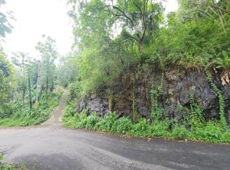 Agricultural Land for Sale in Kottayam, Poonjar, Cholathadam, Chakkipara, Cholathadam , mundakkayam - pala Short cut route