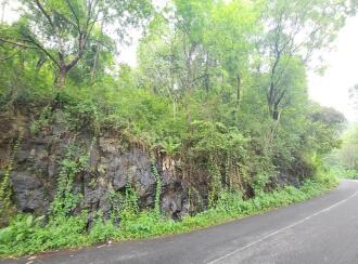 Agricultural Land for Sale in Kottayam, Poonjar, Cholathadam, Chakkipara, Cholathadam , mundakkayam - pala Short cut route