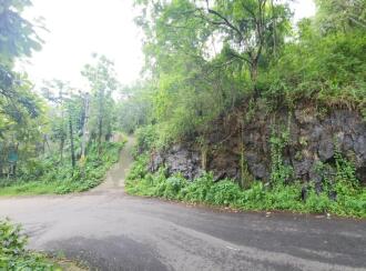 Agricultural Land for Sale in Kottayam, Poonjar, Cholathadam, Chakkipara, Cholathadam , mundakkayam - pala Short cut route