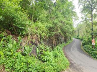 Agricultural Land for Sale in Kottayam, Poonjar, Cholathadam, Chakkipara, Cholathadam , mundakkayam - pala Short cut route