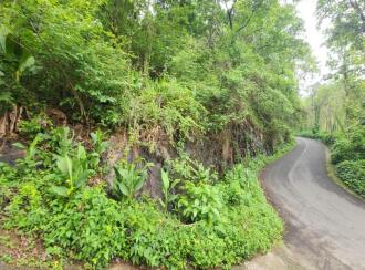 Agricultural Land for Sale in Kottayam, Poonjar, Cholathadam, Chakkipara, Cholathadam , mundakkayam - pala Short cut route