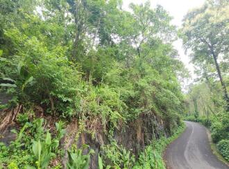 Agricultural Land for Sale in Kottayam, Poonjar, Cholathadam, Chakkipara, Cholathadam , mundakkayam - pala Short cut route