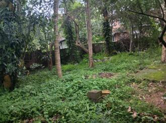 Residential House Villa for Sale in Trivandrum, Thiruvananthapuram, Peyad, near market junction