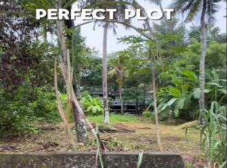 വാസയോഗ്യമായ ഭൂമി വില്പനയ്ക്ക് Thrissur, Thrissur, Viyyoor, Doordarsan Road Parathattil lane