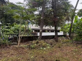 വാസയോഗ്യമായ ഭൂമി വില്പനയ്ക്ക് Thrissur, Thrissur, Viyyoor, Doordarsan Road Parathattil lane