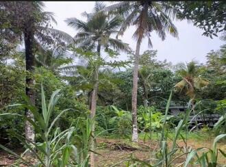വാസയോഗ്യമായ ഭൂമി വില്പനയ്ക്ക് Thrissur, Thrissur, Viyyoor, Doordarsan Road Parathattil lane