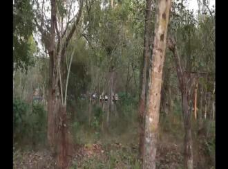 Residential Land for Sale in Kollam, Parippally, Parippally Town, Paripally town