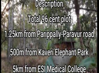 Residential Land for Sale in Kollam, Parippally, Parippally Town, Paripally town