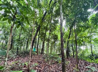 Residential Land for Sale in Kollam, Pathanapuram, Avaneeswaram