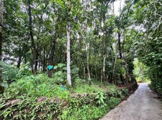 Residential Land for Sale in Kollam, Pathanapuram, Avaneeswaram