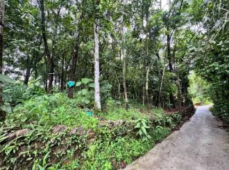Residential Land for Sale in Kollam, Pathanapuram, Avaneeswaram