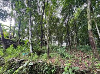 Residential Land for Sale in Kollam, Pathanapuram, Avaneeswaram