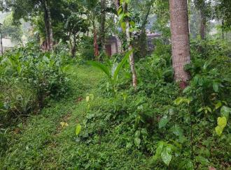 Residential Land for Sale in Pathanamthitta, Mallappally, Anicad, Near to Eden Garden Convention Center
