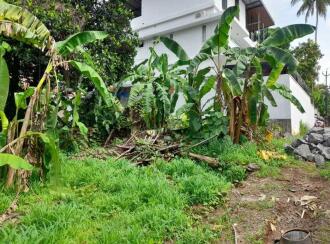 Residential Land for Sale in Thrissur, Thrissur, Viyyoor