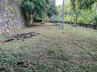 Residential Land for Sale in Trivandrum, Thiruvananthapuram, Thiruvananthapuram, Gandhipuram Road