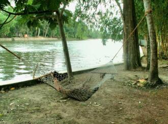 Residential House Villa for Sale in Alleppey, Haripad, Haripad, https://maps.app.goo.gl/gwPBrT6gau5ayzmN9