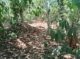 വാസയോഗ്യമായ ഭൂമി വില്പനയ്ക്ക് Trivandrum, Chirayinkeezhu, Manchadimoodu, Ganapathiyan Kovil