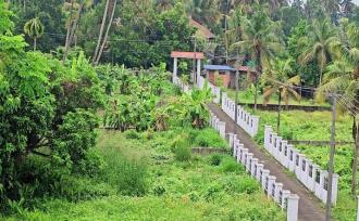 Residential Land for Sale in Ernakulam, Aluva, West kadungalloor, Vrindawan Bus Stop