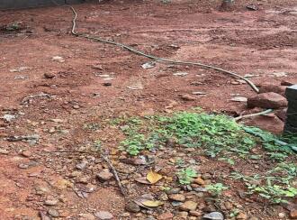 Residential Land for Sale in Kozhikode, Palazhi, Palazhi, Near proposed Palakkad Kozhikode green field highway