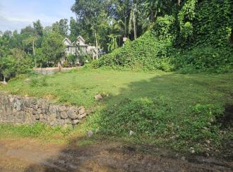 വാസയോഗ്യമായ ഭൂമി വില്പനയ്ക്ക് കോട്ടയം, Pala, Mundupalam, Spice Valley