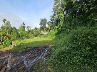 വാസയോഗ്യമായ ഭൂമി വില്പനയ്ക്ക് കോട്ടയം, Pala, Mundupalam, Spice Valley