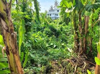 Residential Land for Sale in Ernakulam, Ernakulam town, Kundanoor, pandavathu junction
