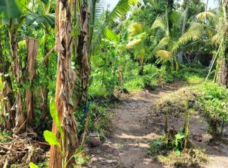Residential Land for Sale in Ernakulam, Ernakulam town, Kundanoor, pandavathu junction