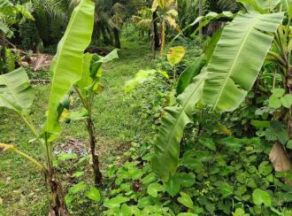 Residential Land for Sale in Ernakulam, Ernakulam town, Kundanoor, pandavathu junction
