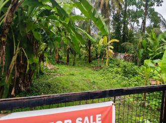 Residential Land for Sale in Ernakulam, Ernakulam town, Kundanoor, pandavathu junction