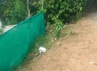 Residential Land for Sale in Pathanamthitta, Pathanamthitta, Kaipattoor, Government Vocational Higher Secondary School Kaipattoor