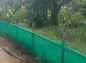 Residential Land for Sale in Pathanamthitta, Pathanamthitta, Kaipattoor, Government Vocational Higher Secondary School Kaipattoor